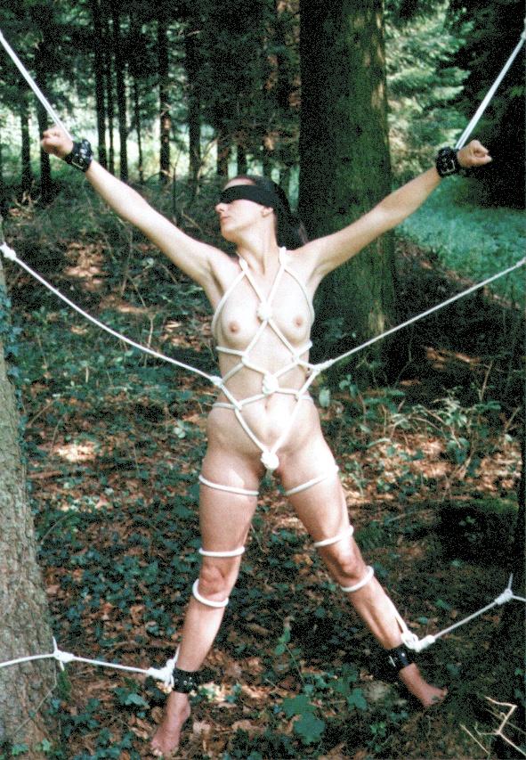 Bondage im Wald